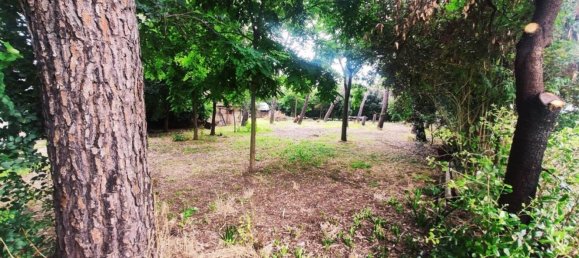 8غرفة منزل في Castiglion Fiorentino, Italy رقم 219074 10