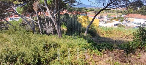 Дом с 2 спальнями в Кашкайш, Португалия № 134505 11