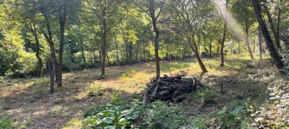 Casa de 4 habitaciónes en Pigna, Italy No. 306343 6