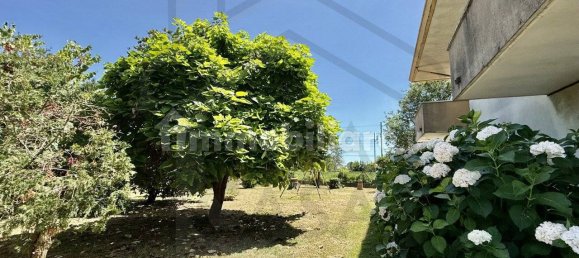 1 bedroom Villa in Abano Terme, Italy No. 307218 12