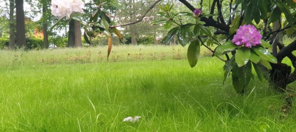 Terreno em Leipzig, Germany N.º 315383 13