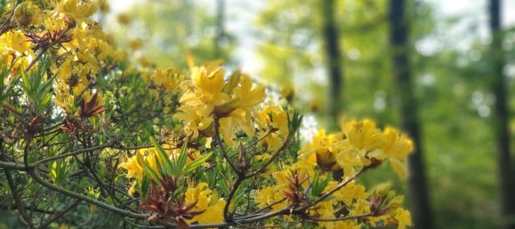 Terreno em Leipzig, Germany N.º 315383 19