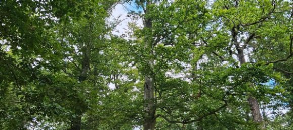 Terreno em Leipzig, Germany N.º 315383 4