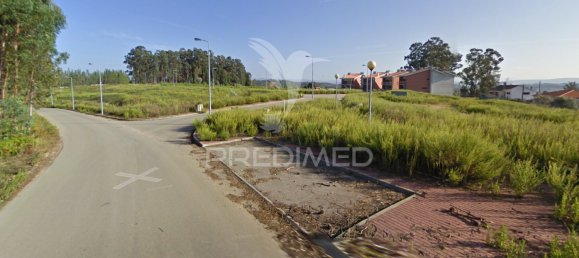 17500m² Land in Penacova, Portugal No. 146224 7