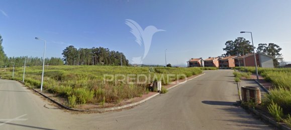 17500m² Land in Penacova, Portugal No. 146224 8