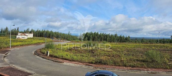 17500m² Land in Penacova, Portugal No. 146224 3