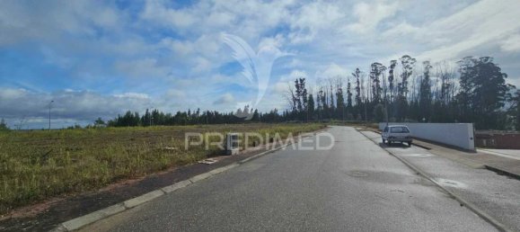 17500m² Land in Penacova, Portugal No. 146224 4