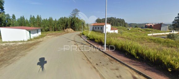 17500m² Land in Penacova, Portugal No. 146224 6