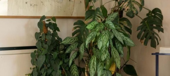 2 bedrooms Apartment in Lisbon, Portugal No. 123289 26