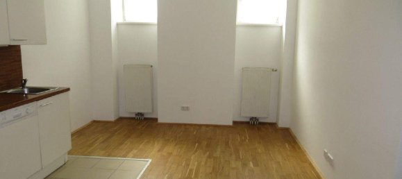 2-salle Appartement à Rudolfsheim-Funfhaus, Austria No. 207374 4