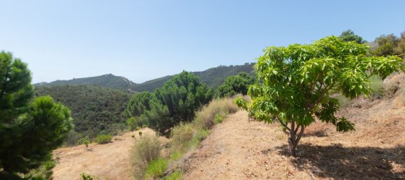 Terreno em Estepona, Spain 5000 m² N.º 170041 19