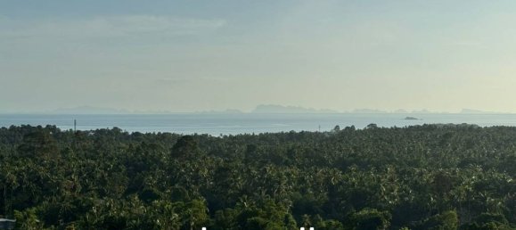  عقار تجاري في Surat Thani, Thailand رقم 21481 5