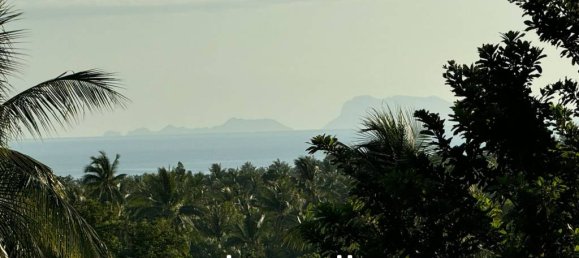  عقار تجاري في Surat Thani, Thailand رقم 21481 6