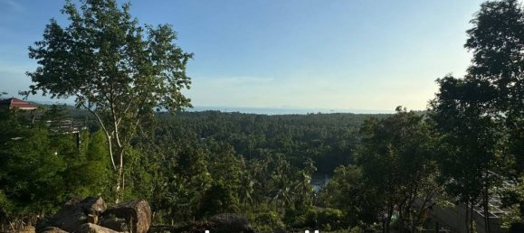  عقار تجاري في Surat Thani, Thailand رقم 21481 3