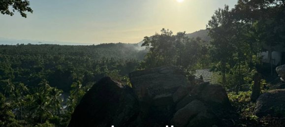  عقار تجاري في Surat Thani, Thailand رقم 21481 7