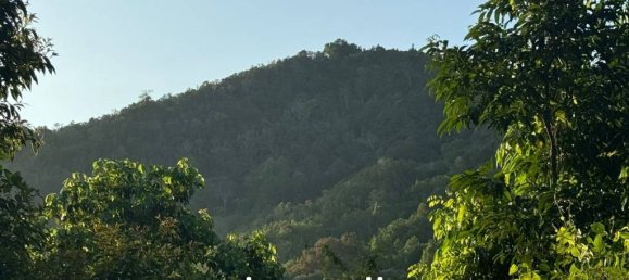  عقار تجاري في Surat Thani, Thailand رقم 21481 8