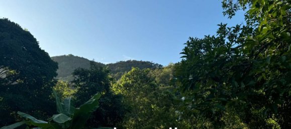  عقار تجاري في Surat Thani, Thailand رقم 21481 9