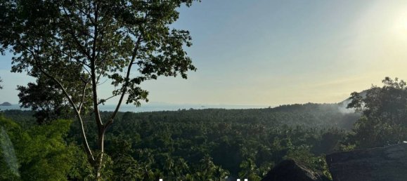  عقار تجاري في Surat Thani, Thailand رقم 21481 4