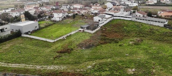 Земельный участок 10337м² в Фреамунде, Португалия № 63533 17