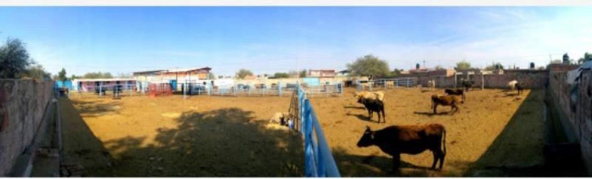 3 bedrooms House in Ciudad Lerdo, Mexico No. 189438