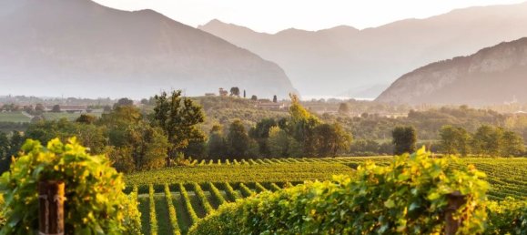 4-salle Villa à Passirano, Italy No. 5494 4