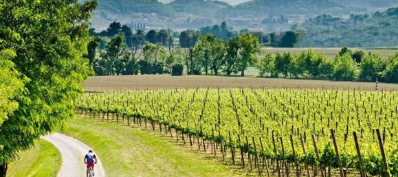 4-salle Villa à Passirano, Italy No. 5494 3