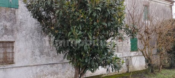 2 bedrooms Villa in Piacenza d'Adige, Italy No. 198934 2