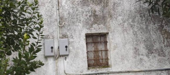 2 bedrooms Villa in Piacenza d'Adige, Italy No. 198934 10