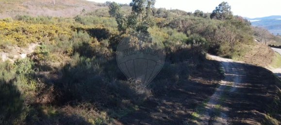 1 bedroom House in Baiao, Portugal No. 85261 4