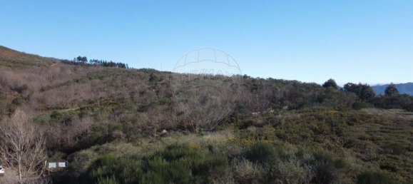 1 bedroom House in Baiao, Portugal No. 85261 6