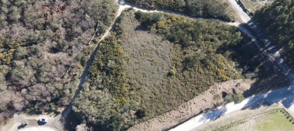 1 bedroom House in Baiao, Portugal No. 85261 2