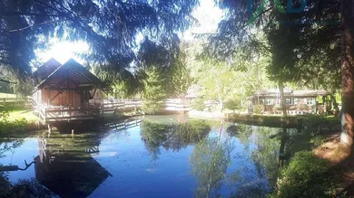 6-Zimmer Haus in St. Roman, Austria, Nr. 142050