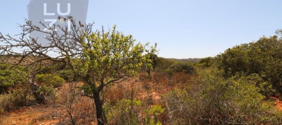 Terrain à Vila do Bispo, Portugal 35200m² No. 57401 8