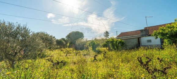 2 bedrooms House in Tomar, Portugal No. 178915 3