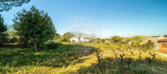 2 bedrooms House in Tomar, Portugal No. 178915 38