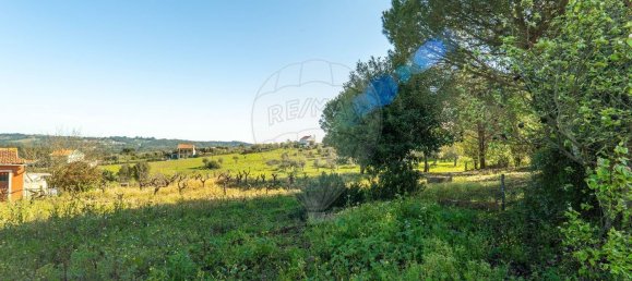 2 bedrooms House in Tomar, Portugal No. 178915 32