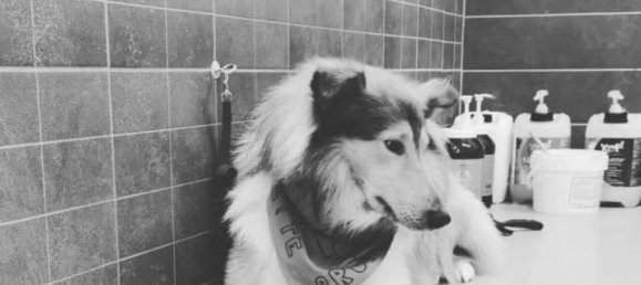 2-Zimmer Gewerbliche Immobilie in Vigodarzere, Italy, Nr. 318637 2