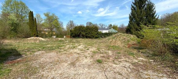 1415m² Land in Anif, Austria No. 51100 3