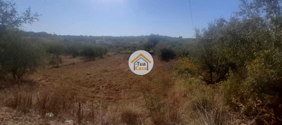 1140m² Land in Sao Bras de Alportel, Portugal No. 77475 4