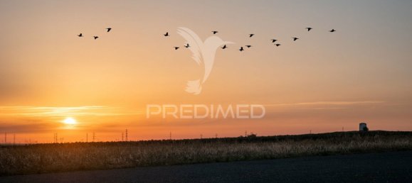 5 bedrooms House in Ferreira do Alentejo, Portugal No. 39201 22