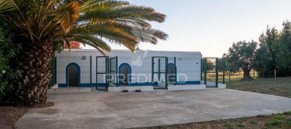 5 bedrooms House in Ferreira do Alentejo, Portugal No. 39201 21