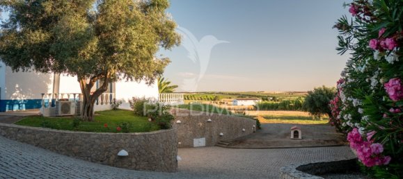 5 bedrooms House in Ferreira do Alentejo, Portugal No. 39201 31