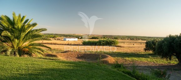 5 bedrooms House in Ferreira do Alentejo, Portugal No. 39201 6