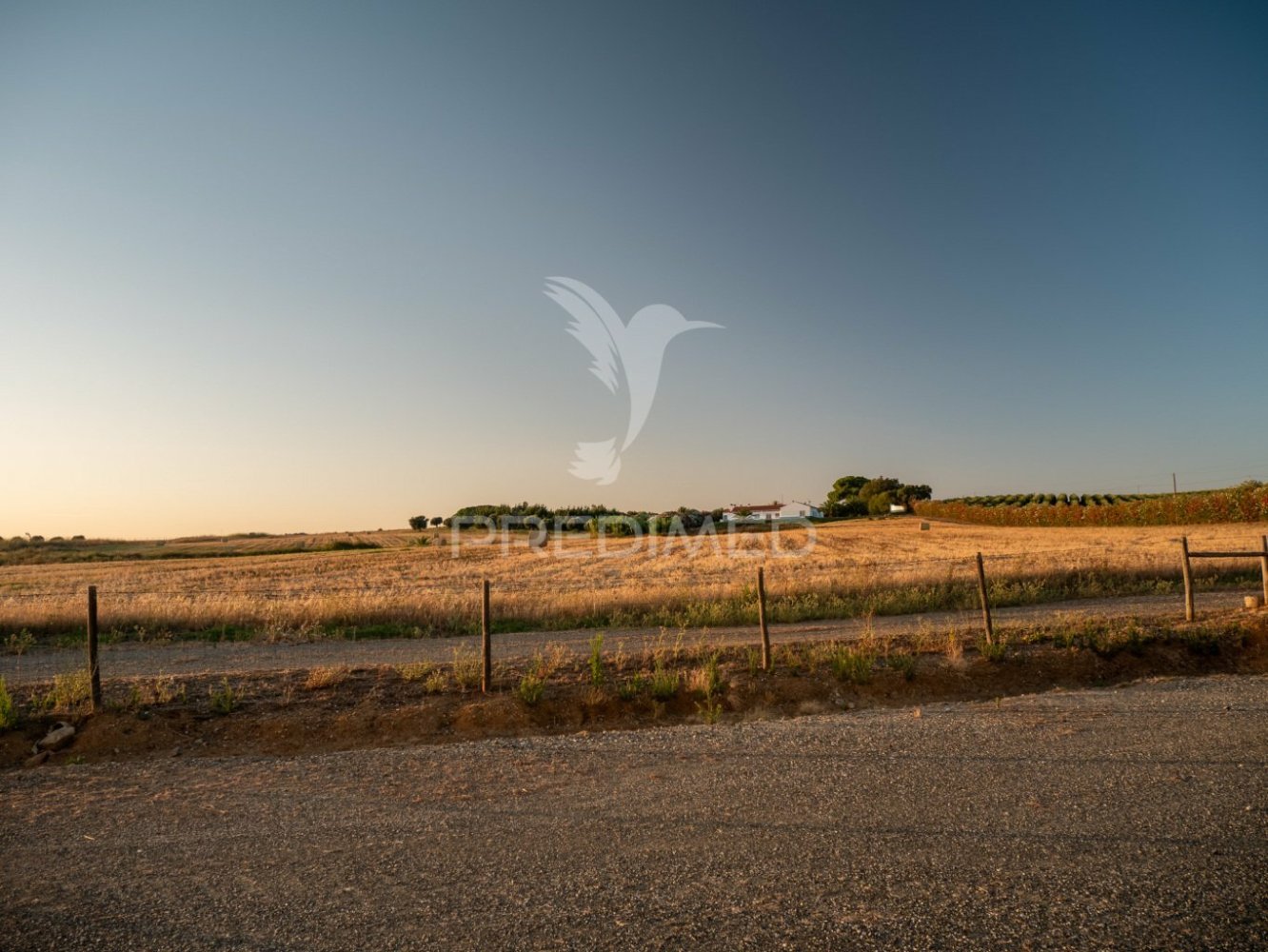 5 bedrooms House in Ferreira do Alentejo, Portugal No. 39201