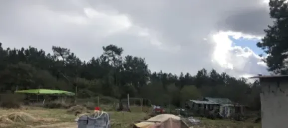  Land in Llanera, Spain No. 91904 9