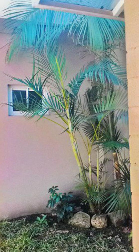 2 chambres Maison à Buenos Aires, Argentina No. 79830