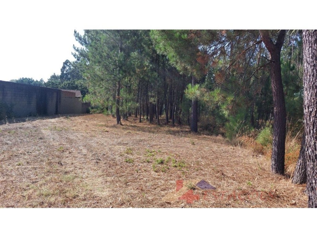  Land in Pombal, Portugal No. 308969