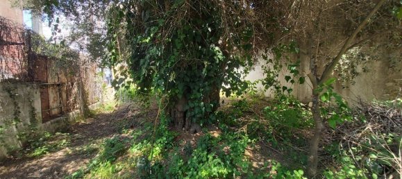 385m² Townhouse in Corfu, Greece No. 3573 6