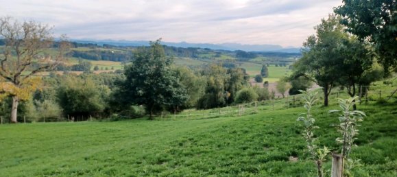 4 غرف نوم منزل في Ravensburg, Germany رقم 308972 17