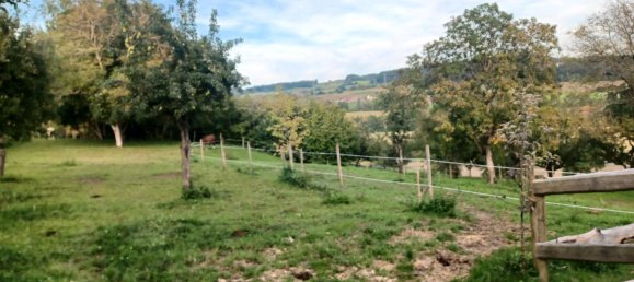 4 غرف نوم منزل في Ravensburg, Germany رقم 308972 18